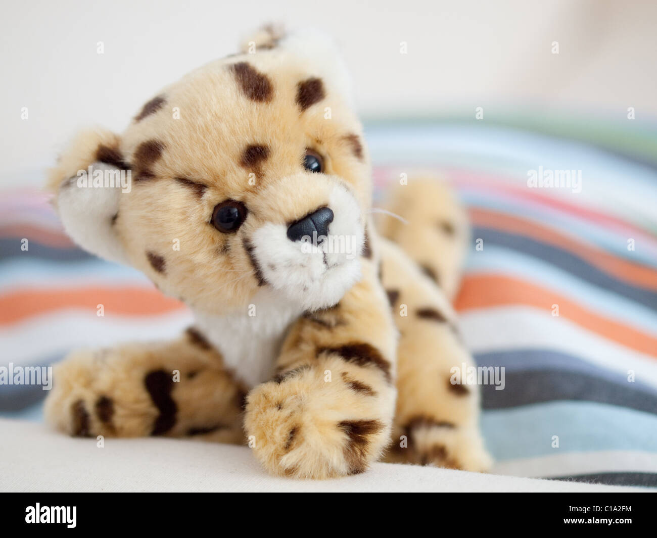 Guepardo de peluche fotografías e imágenes de alta resolución - Alamy