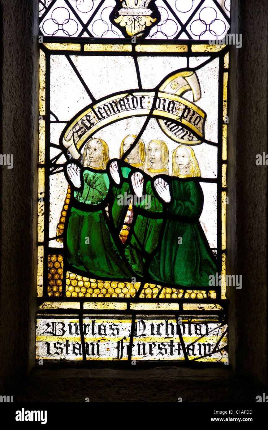 Detalle de la vidriera medieval inglesa en San Neot Iglesia Bodmin Moor Cornualles Inglaterra Gran Bretaña GB Europa Foto de stock