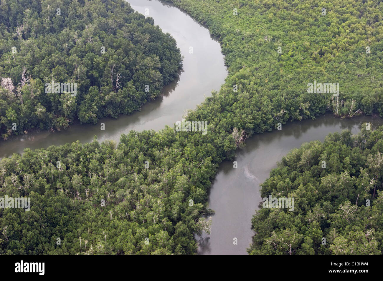 Río Gabón vista aérea oxbow bend bosque de árboles de la selva Foto de stock