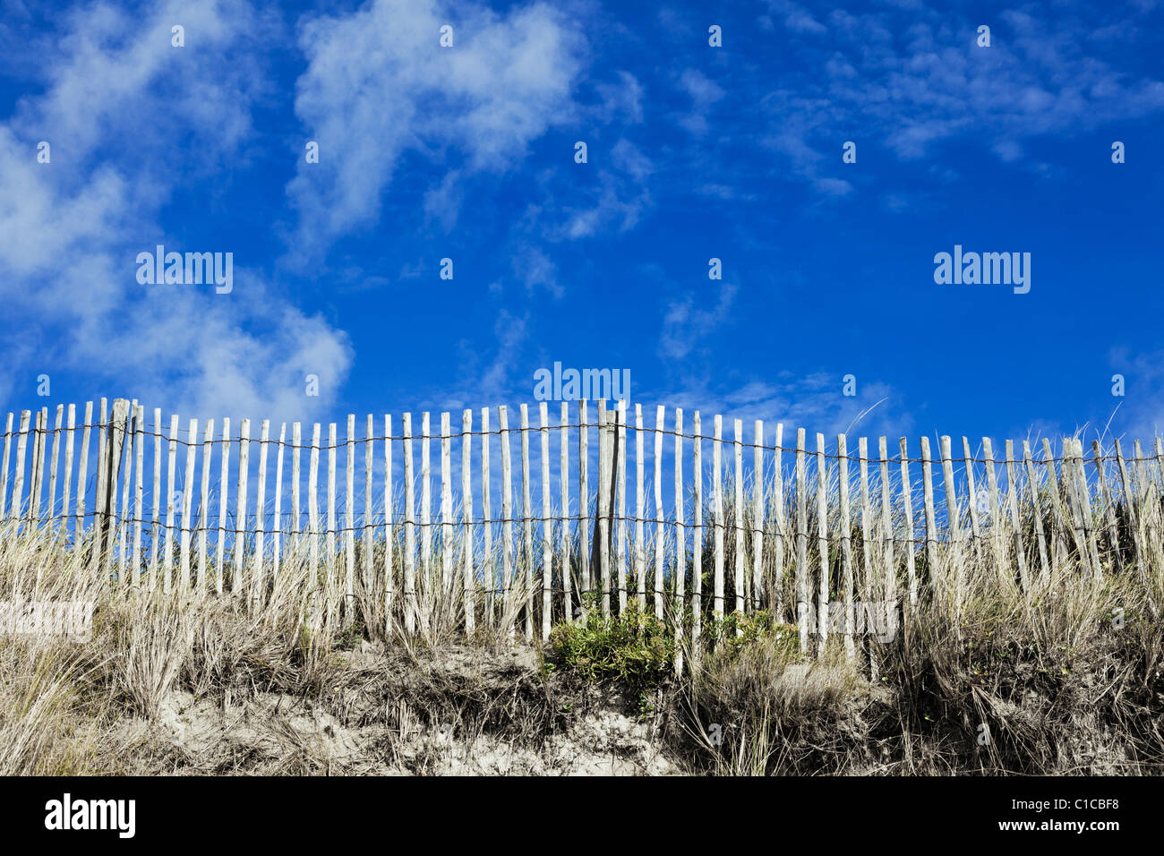 Valla de madera sobre una duna de arena con el cielo azul, Francia, Europa Foto de stock