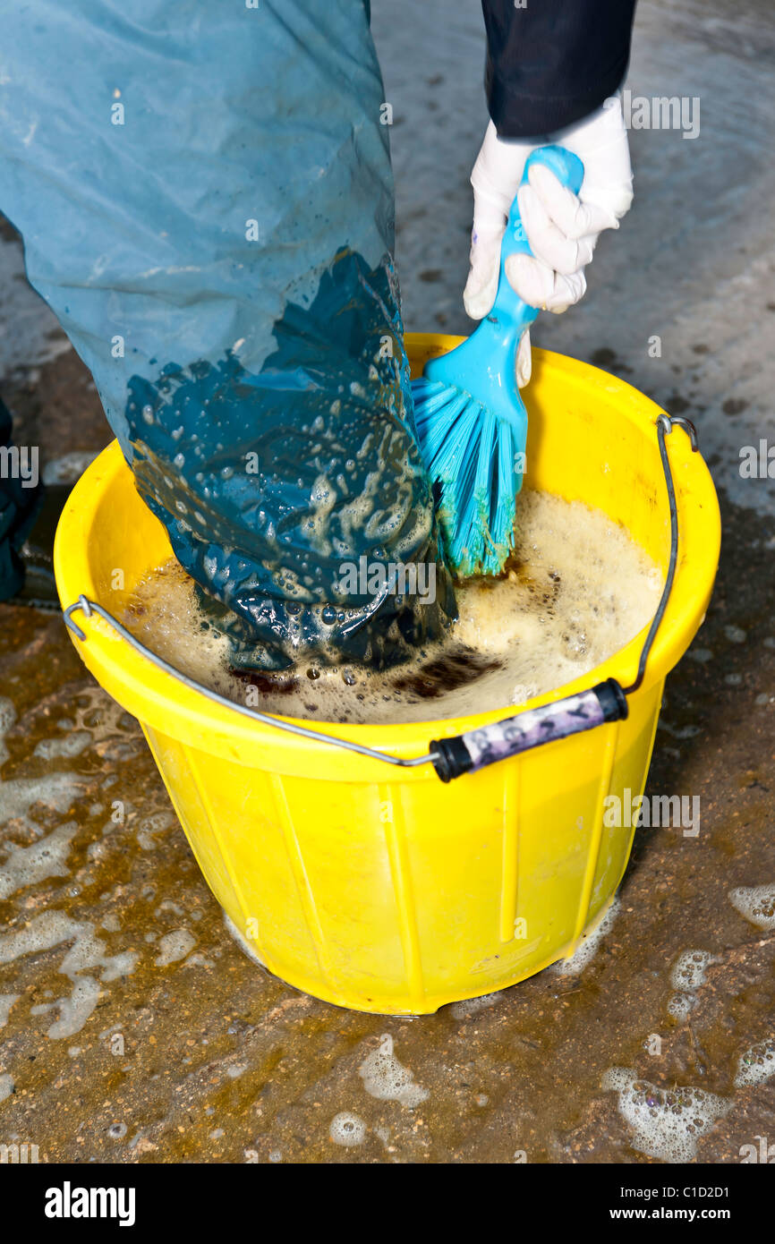 Sobre higiene en las granjas - un veterinario limpieza de calzado después de visitar una granja de productos lácteos en el Reino Unido moderno. Foto de stock