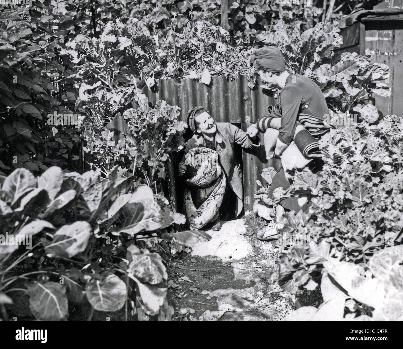 ANDERSON cobijo en un jardín de Londres en 1941. Nota tierra cubriendo lo que permite su uso como un parche vegetal Foto de stock