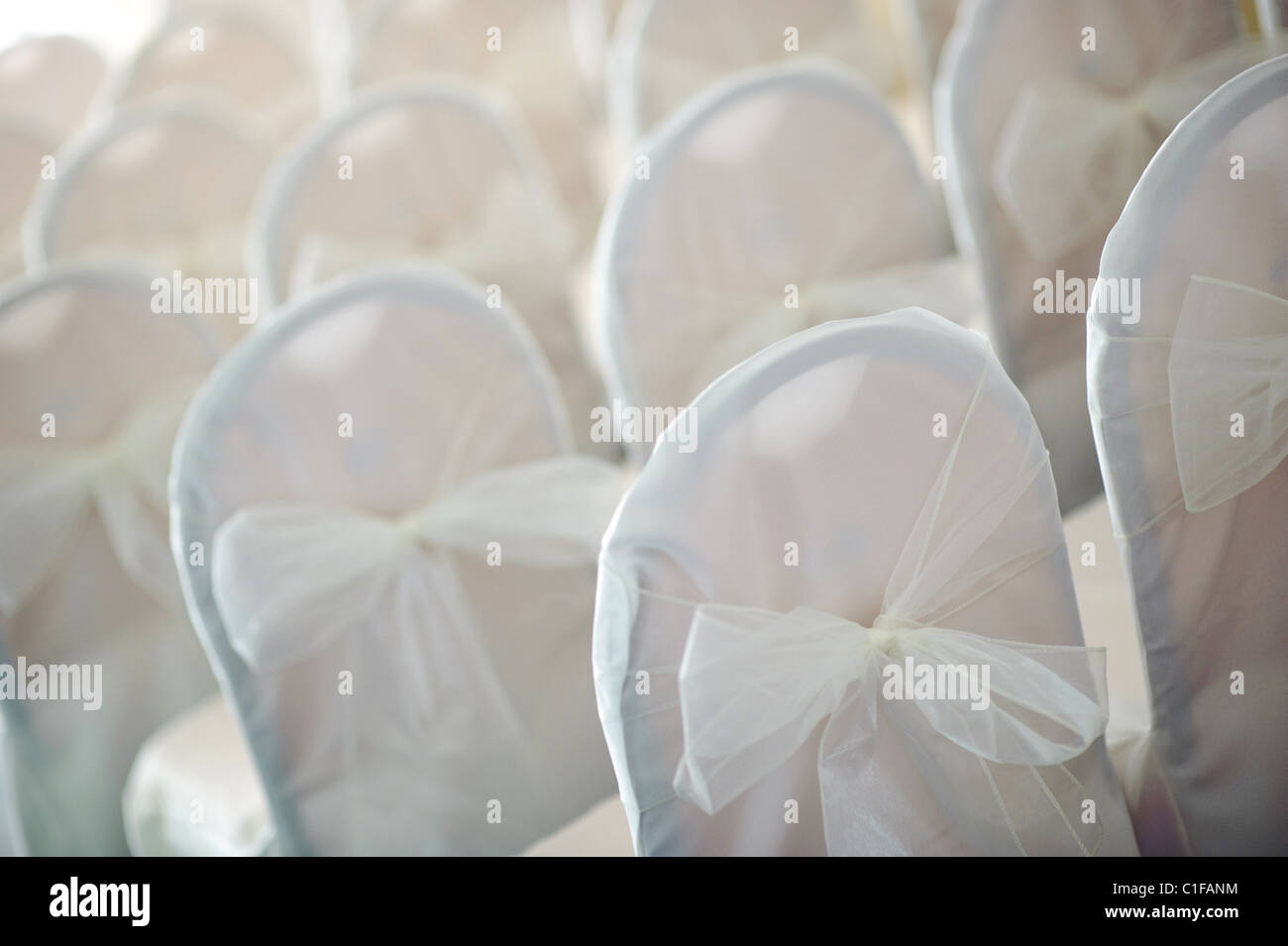 Filas de sillas decoradas con tul silla arco espalda en blanco para boda  Fotografía de stock - Alamy