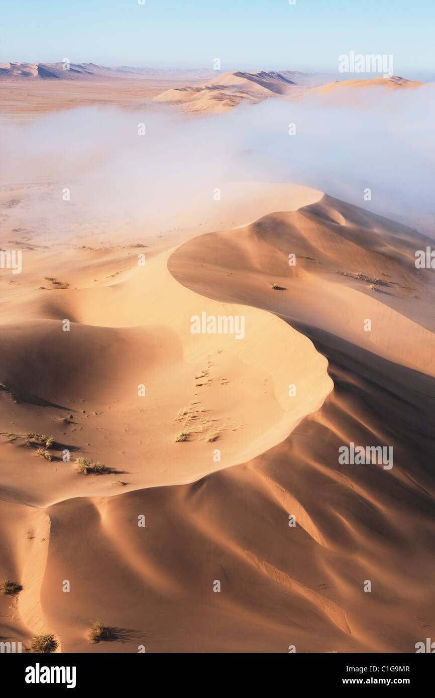 Vista aérea de dunas de arena del desierto de Namibia Foto de stock