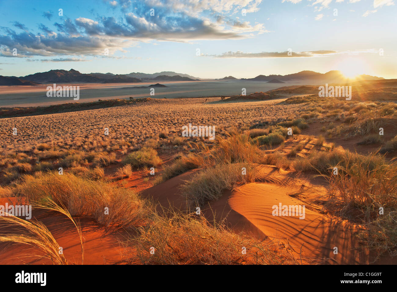 Vista panorámica de la Reserva Natural de NamibRand Foto de stock
