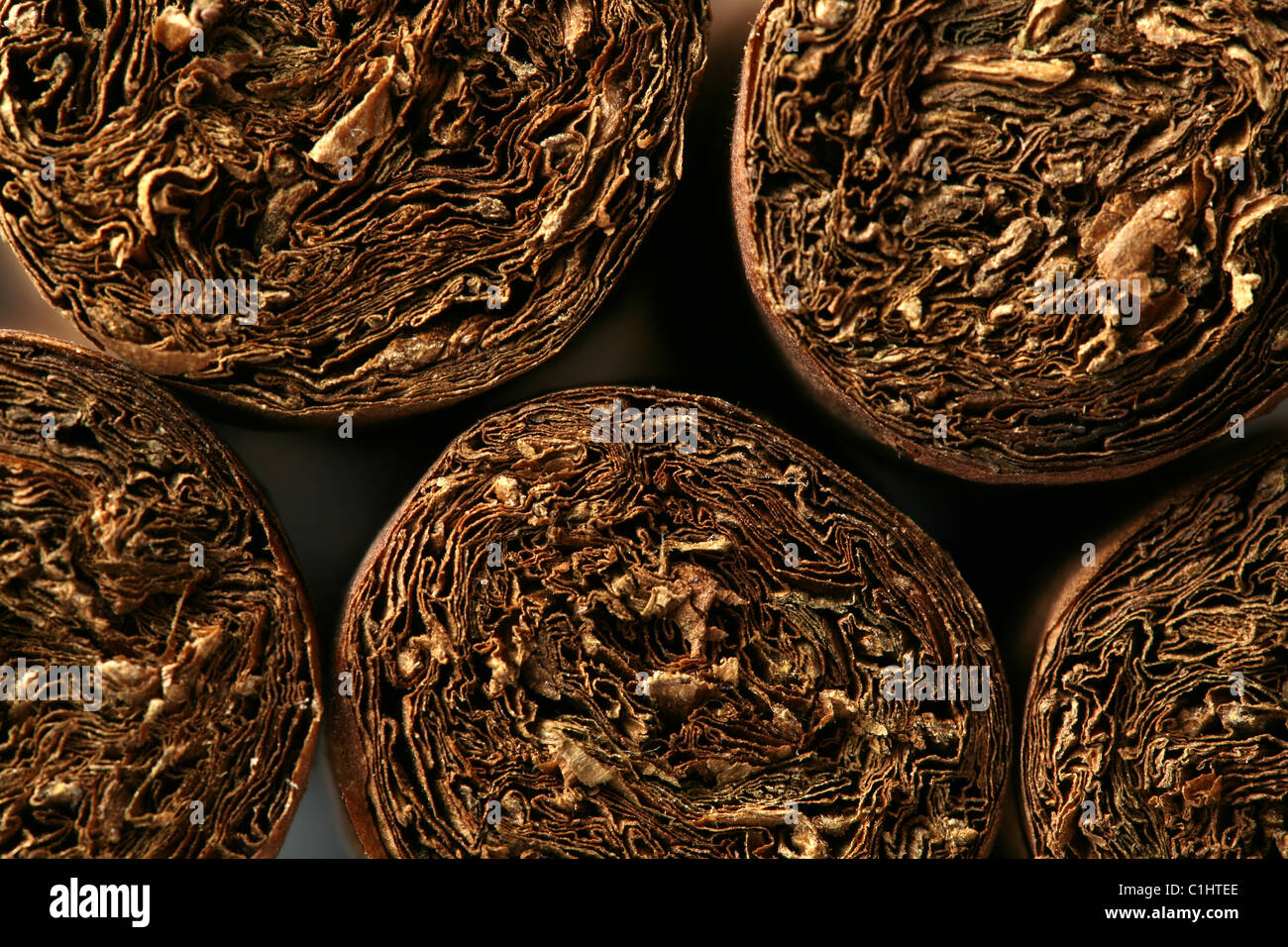 Los puros habanos textura Foto de stock