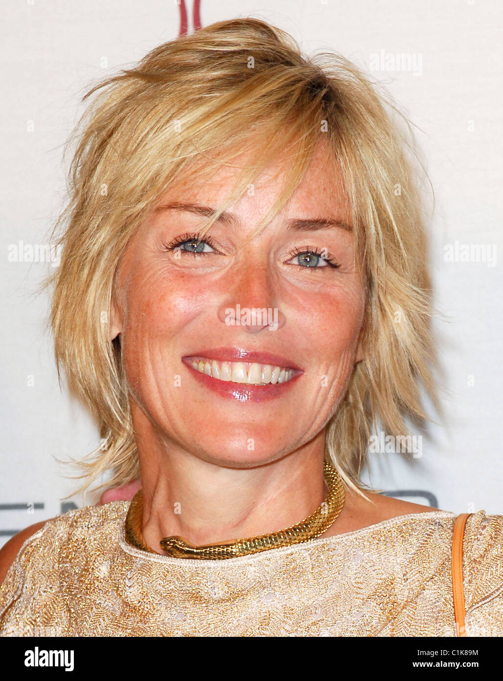 Sharon Stone, el Centro Médico CedarsSinai de 'RockNReel" de 2009