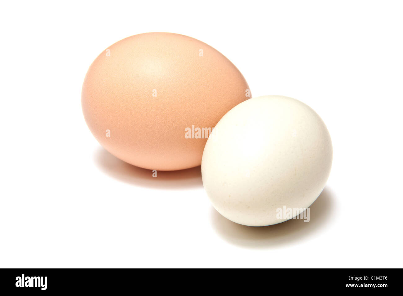Huevos de gallina aislado sobre un fondo blanco studio. Foto de stock