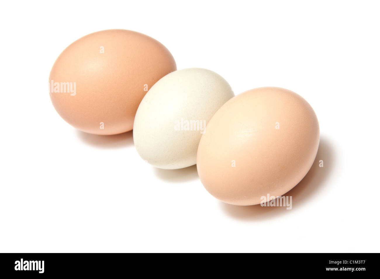 Huevos de gallina aislado sobre un fondo blanco studio. Foto de stock