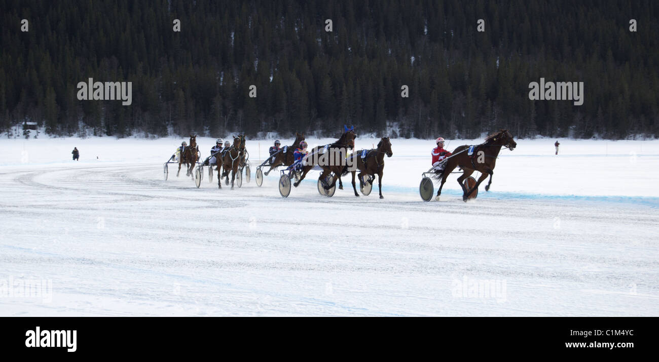 Carrera de caballos en Åre lago (Åresjön congelado), Suecia Foto de stock
