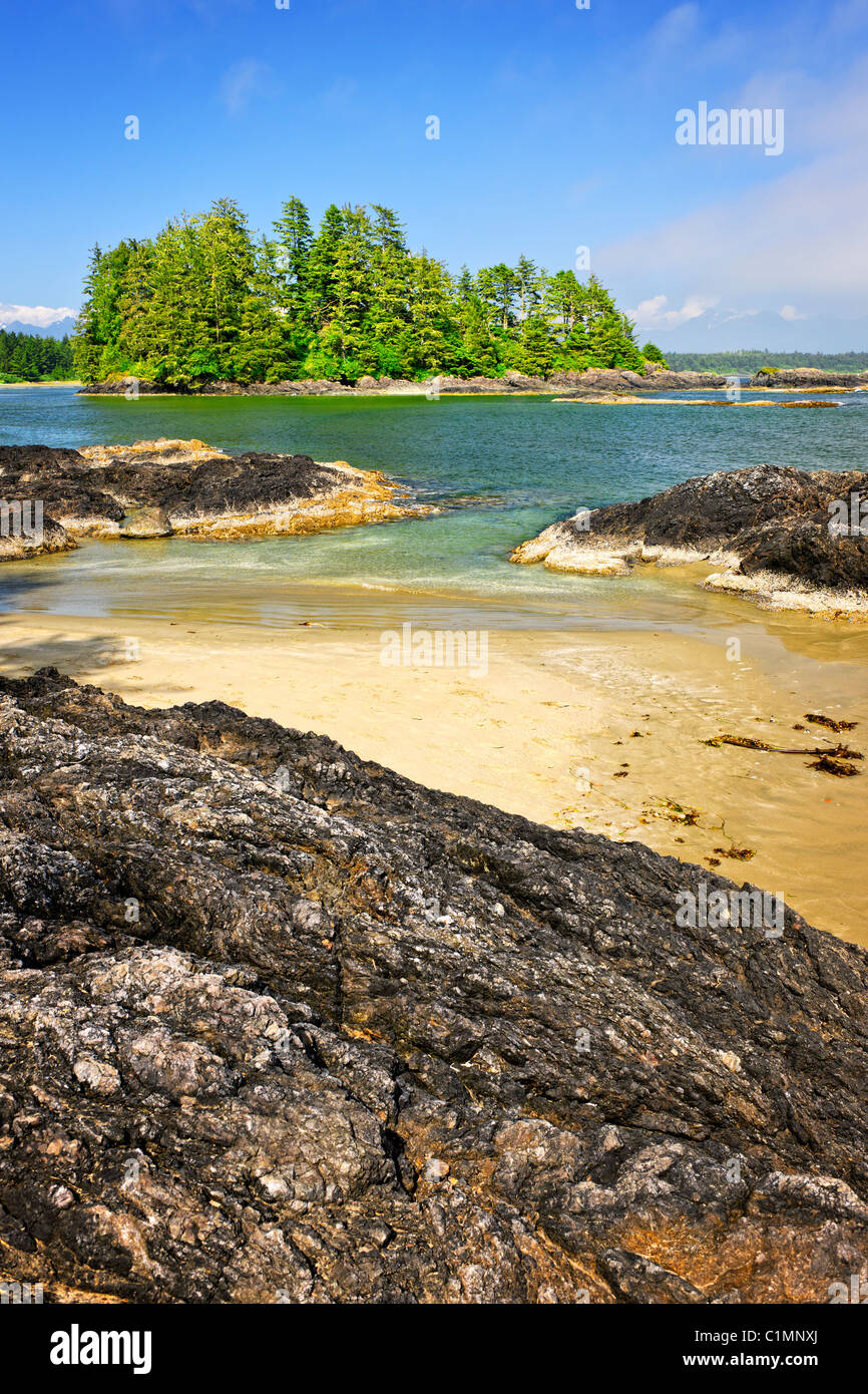 Vista desde Long Beach en el Parque Nacional de Pacific Rim, Canadá Foto de stock