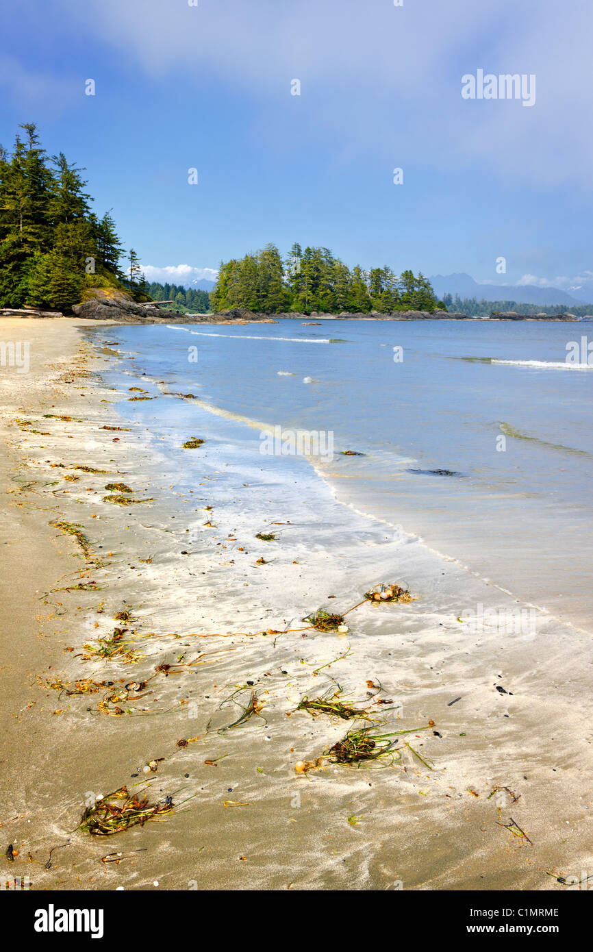 Long Beach en Pacific Rim National Park, la isla de Vancouver, Canadá Foto de stock