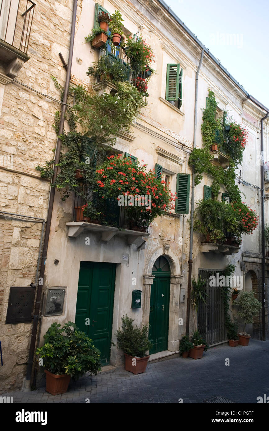 Italia, Abruzzo, Guardiagrele, flora en casa fachadas Foto de stock