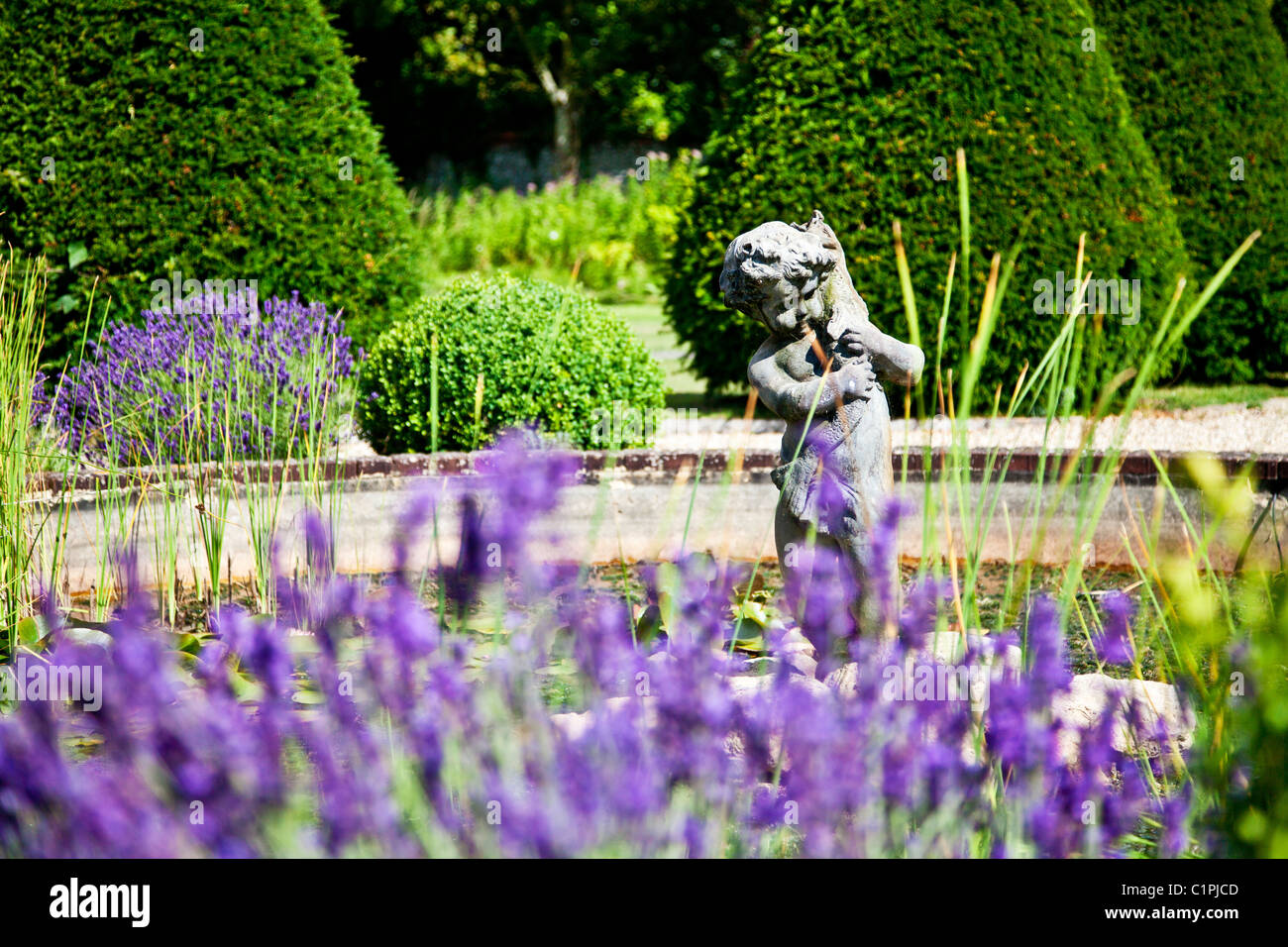 Estatua de piedra de chico y peces en el estanque de jardín campestre inglés en Berkshire, Inglaterra, Reino Unido con lavanda alrededor. Foto de stock