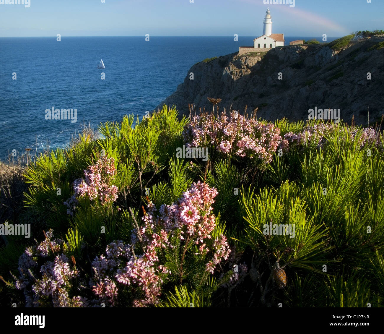 Cap de pera fotografías e imágenes de alta resolución Alamy