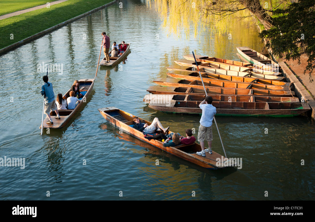 Punts del río Cam, Cambridge, Inglaterra, Reino Unido. Hermosa tarde sol de primavera. Foto de stock