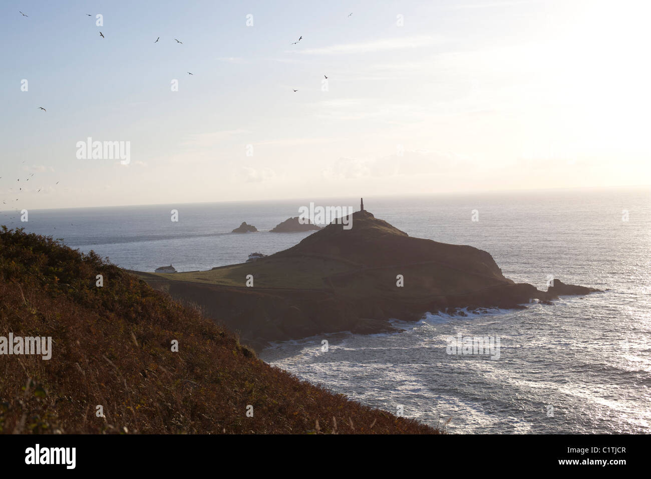 Gaviotas sobrevolando el Cabo Cornwall Foto de stock