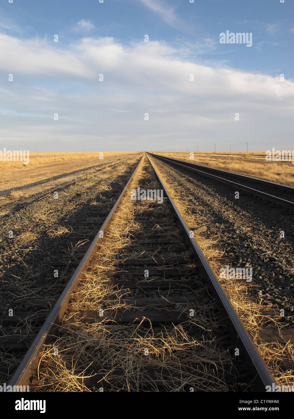 Las vías de ferrocarril y el cielo en el oeste de Texas, cerca de Marfa, Texas Foto de stock