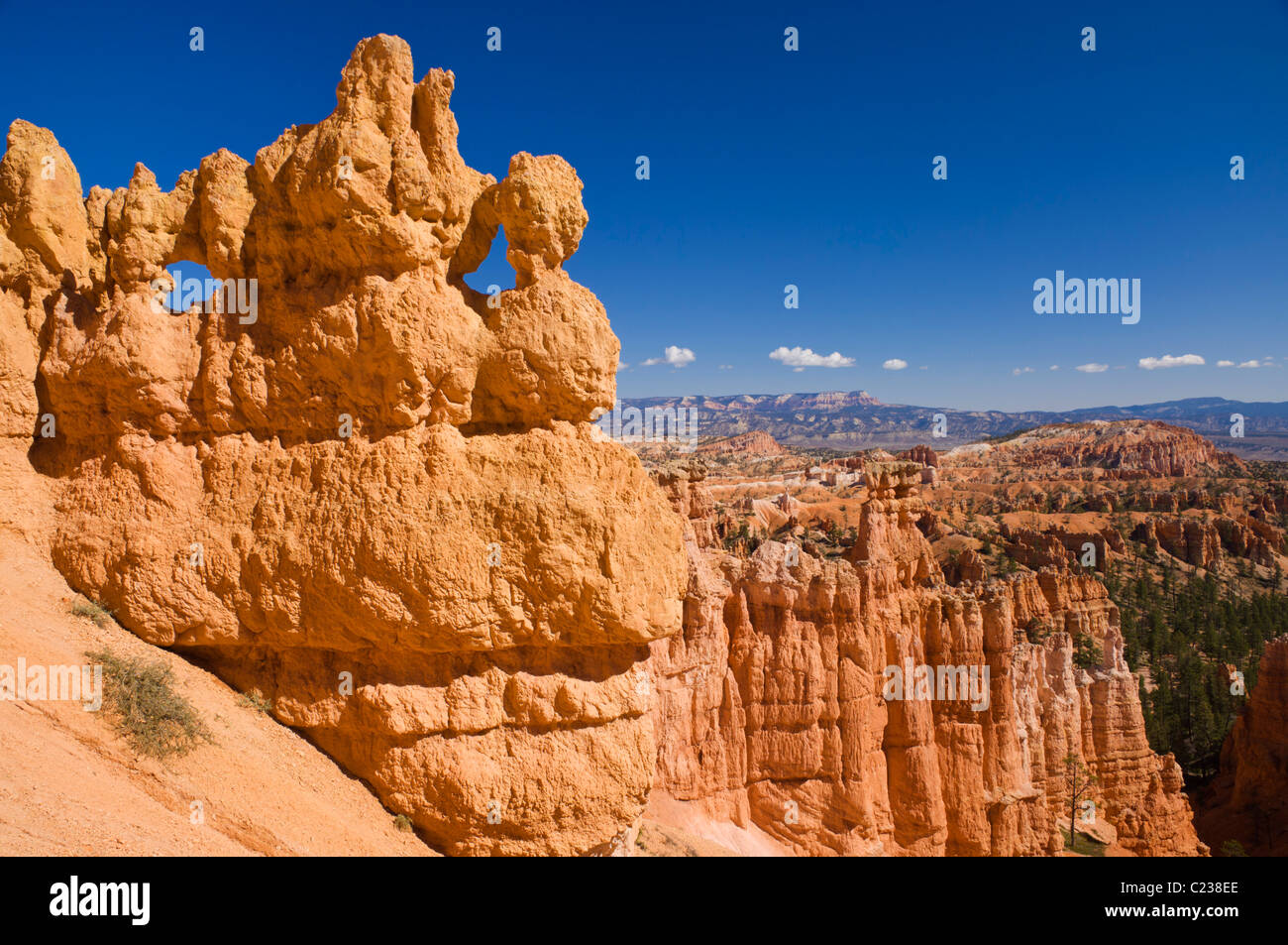 Arenisca Anfiteatro de Bryce Canyon Hoodoos en Utah, EE.UU. Estados Unidos de América US Foto de stock
