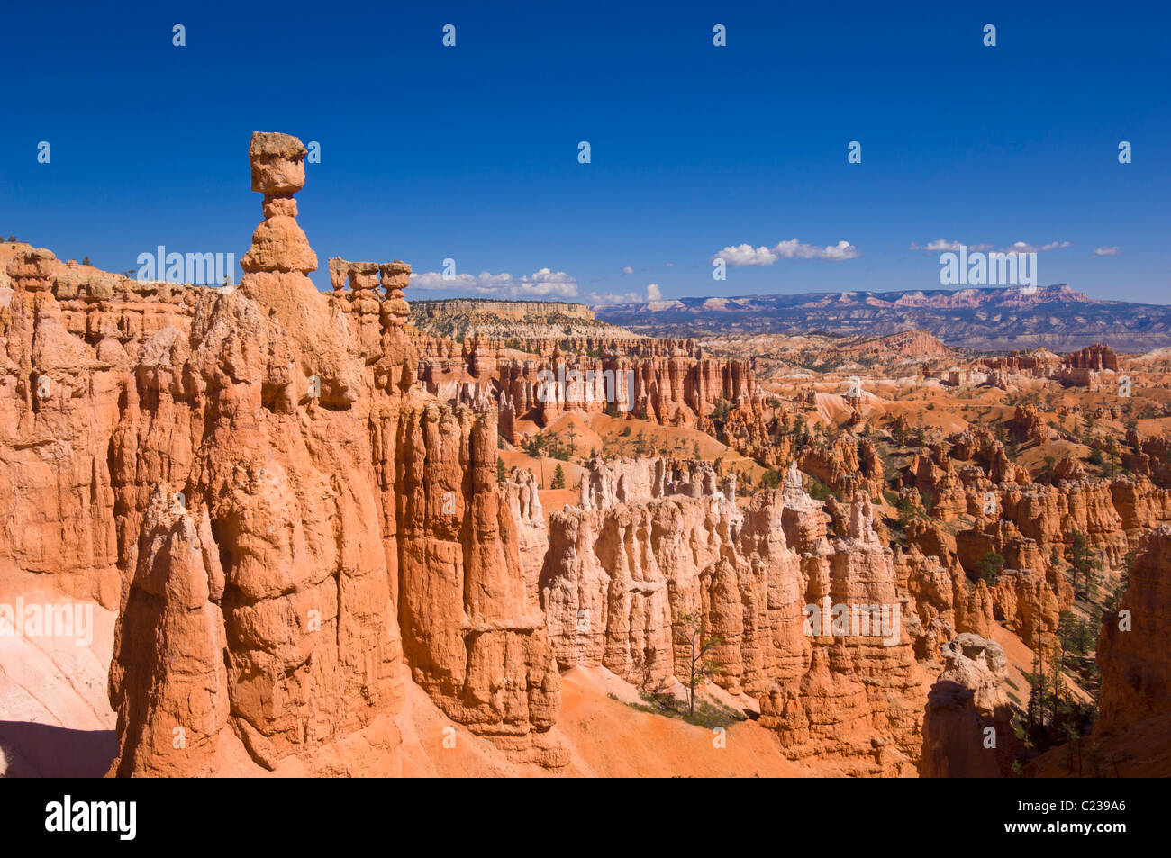 Parque Nacional Del Cañón Bryce Hammer De Thor Y Hoodoos De Sandstone En El Anfiteatro Del Cañón Bryce, Utah, Estados Unidos De América Foto de stock