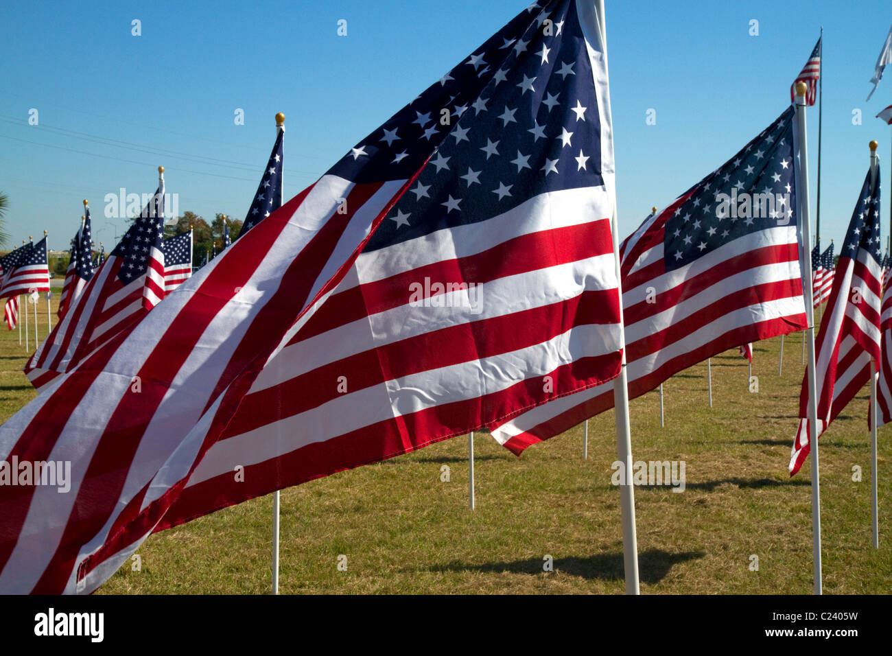 Banderas de los Estados Unidos en la exhibición en honor de los Veteranos del Dat en Battleship Memorial Park, de Mobile, Alabama, Estados Unidos. Foto de stock