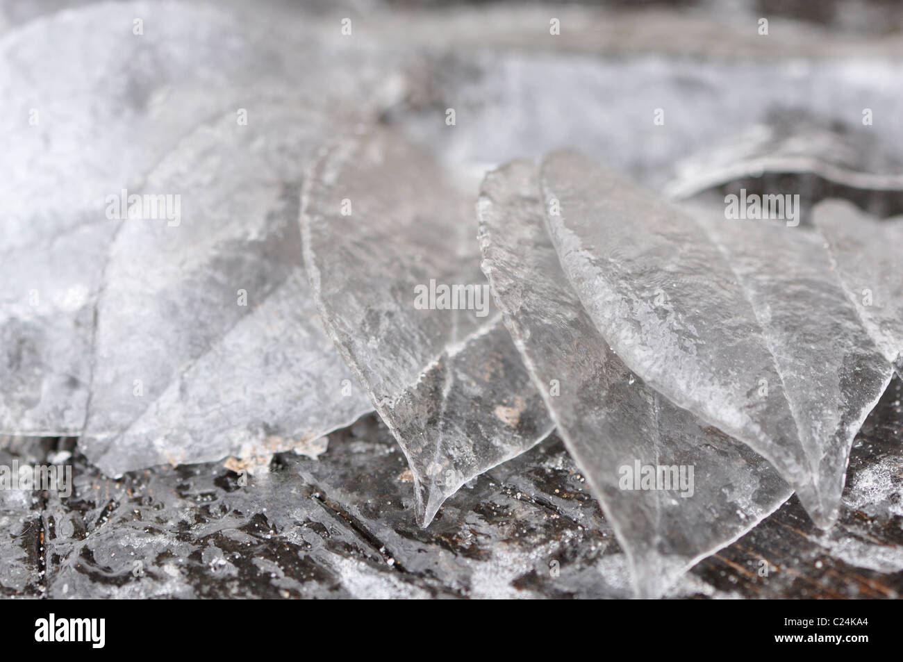 Molde para hielo fotografías e imágenes de alta resolución - Alamy