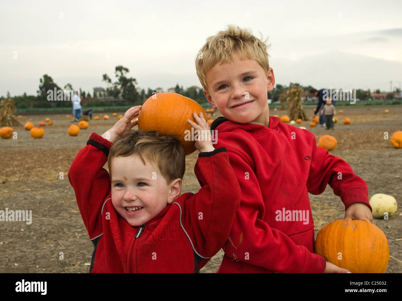 2 hermanos jugando y divirtiéndose selecciona calabazas durante Halloween. Foto de stock