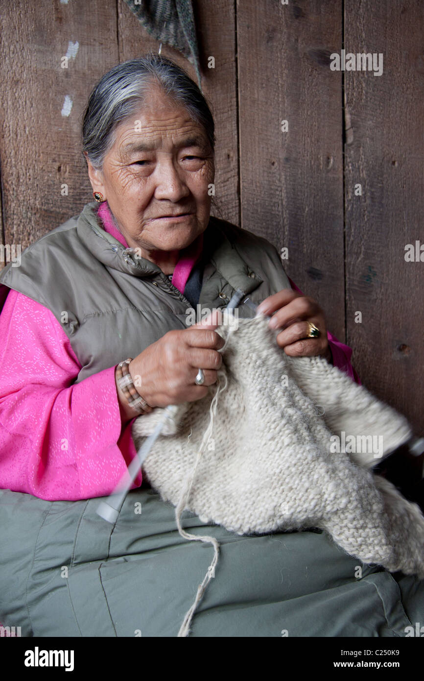 La Sra. Samde, con 75 años en 2010 CE, tejer lana en el centro de autoayuda de refugiados tibetanos en Darjeeling, en Bengala Occidental, India. Foto de stock