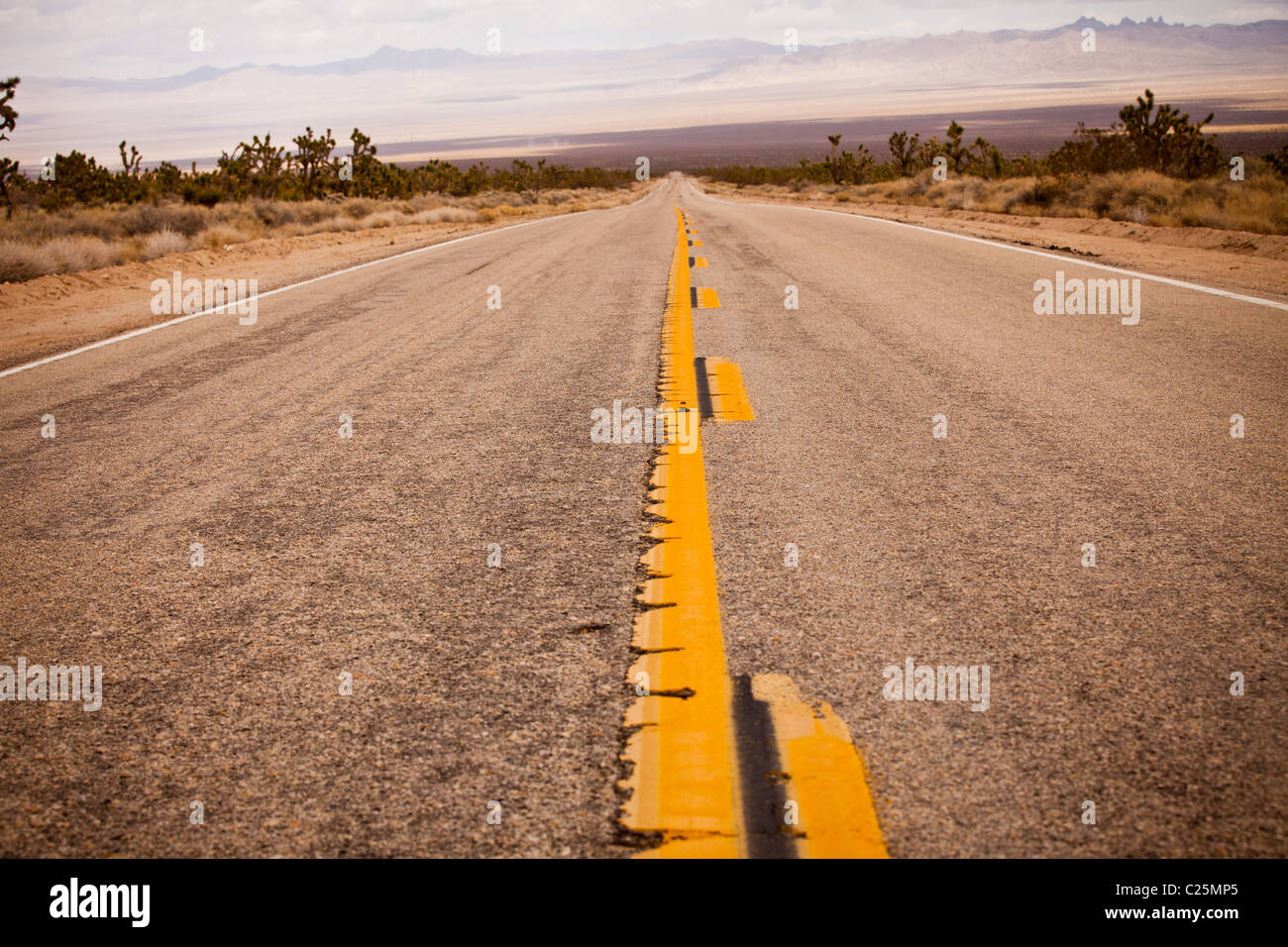 Tramo de carretera vacía a través del desierto de Mojave en la Mojave National Preserve, San Bernardino, CA Foto de stock