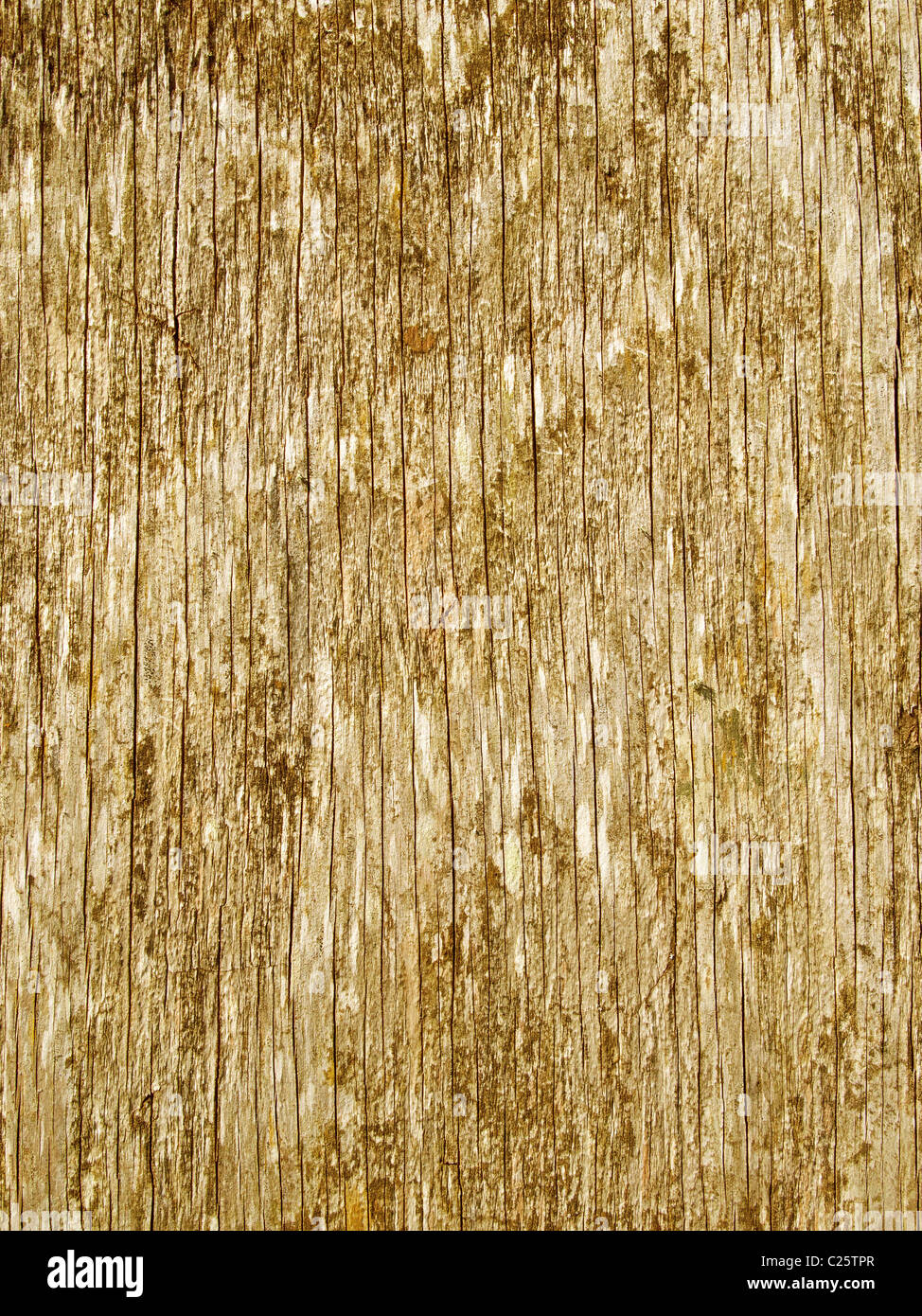 Textura de madera rugosa cerca. Foto de stock