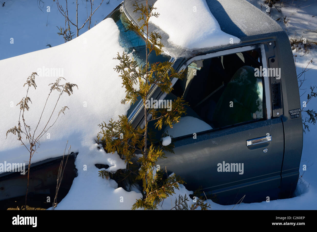 La nieve fresca cubriendo un automóvil abandonado cortados a la mitad de la cabina en una helada mañana de invierno Foto de stock