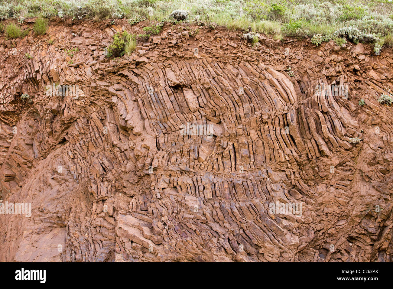 Expone las capas de plegado, ricos en hierro chert roca en la costa norte de California Foto de stock