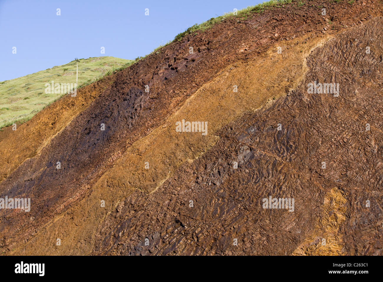Una vista de sección transversal de la ladera de la colina, mostrando diferentes capas de roca y suelo de California - EE.UU. Foto de stock