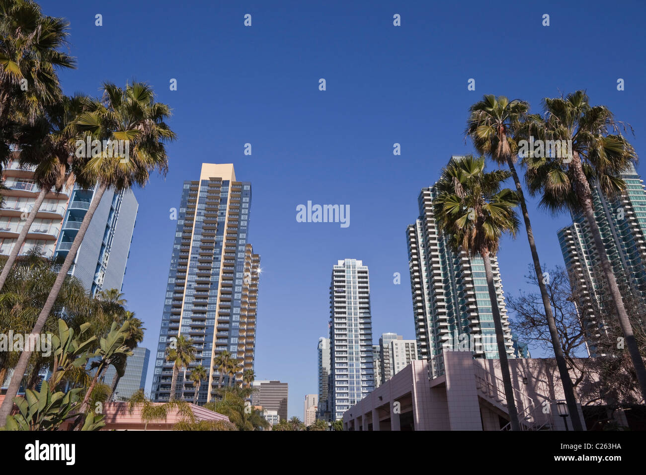 Torres modernas y altas palmeras en el pintoresco centro de San Diego, California. Foto de stock