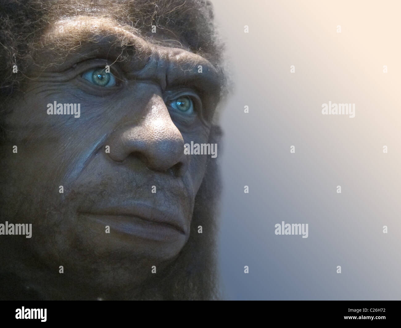 Cara de recreación de un Neanderthal Foto de stock