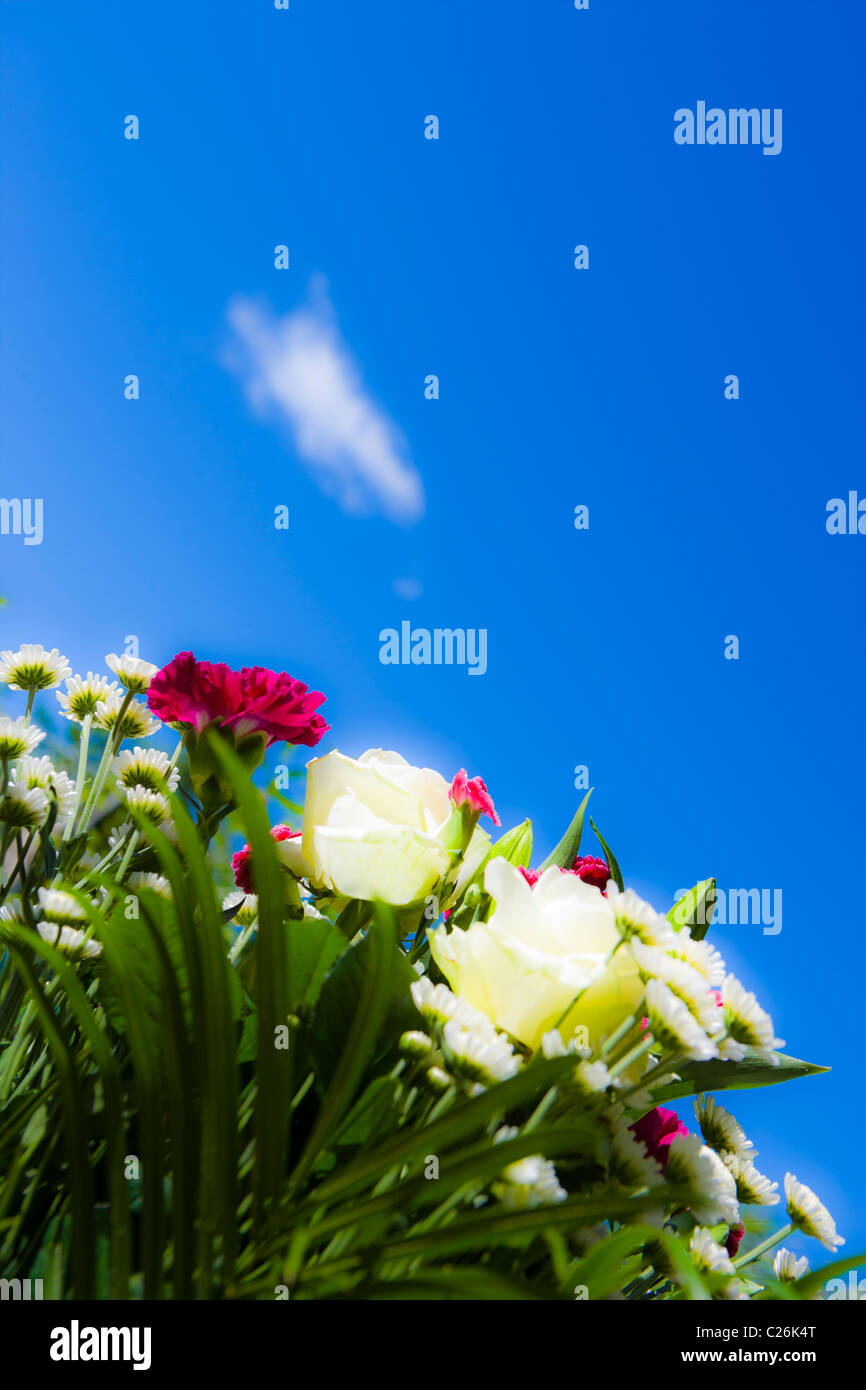 La alteración digital de imágenes abstractas de flores en un jardín de verano. Foto de stock