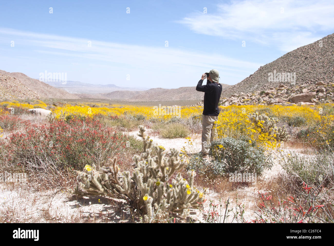 Birdwatcher en Anza Borrego Desert State Park Foto de stock