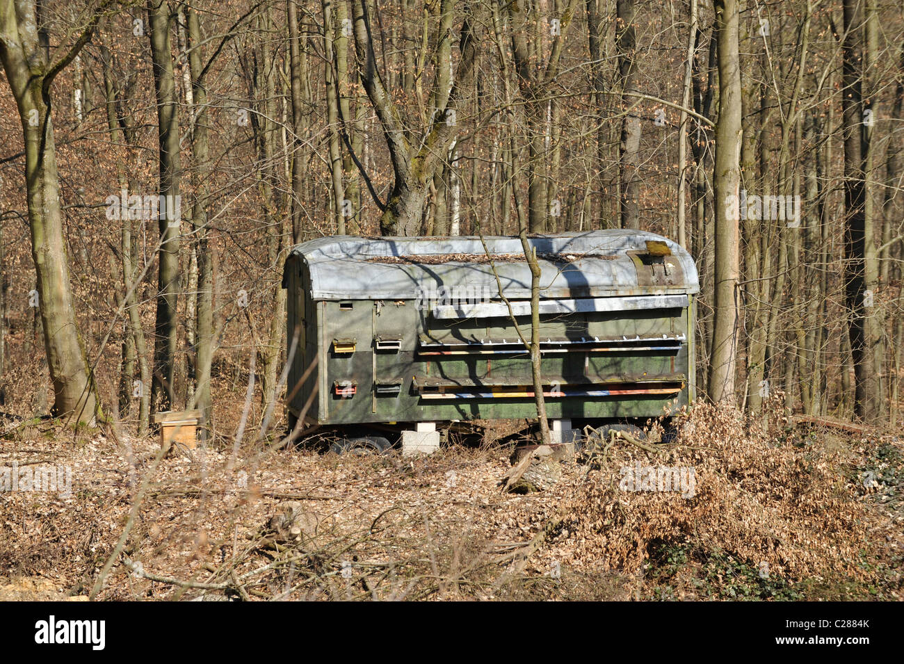 Colmena comunal forestal en alemán Foto de stock