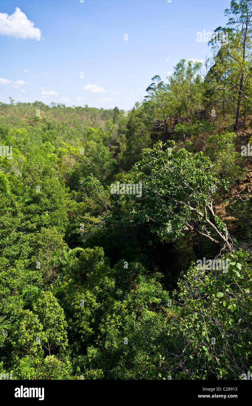 Bolsillos remanente de bosque lluvioso tropical monzónico abruptas gargantas de relleno. Foto de stock