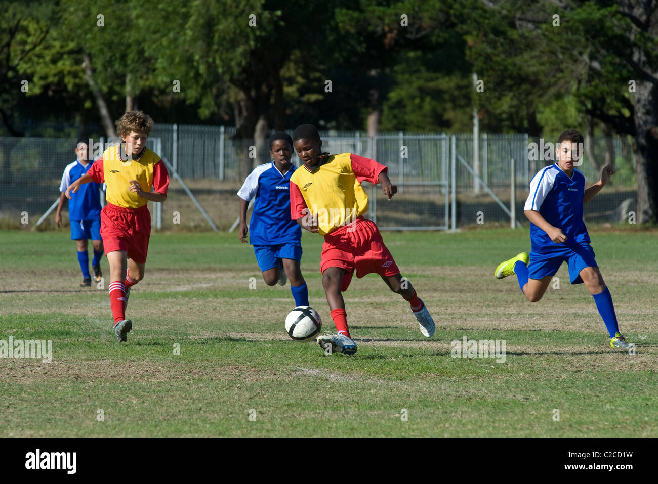 Los niños menores de 13 años juega un partido de fútbol, Ciudad del Cabo, Sudáfrica Foto de stock