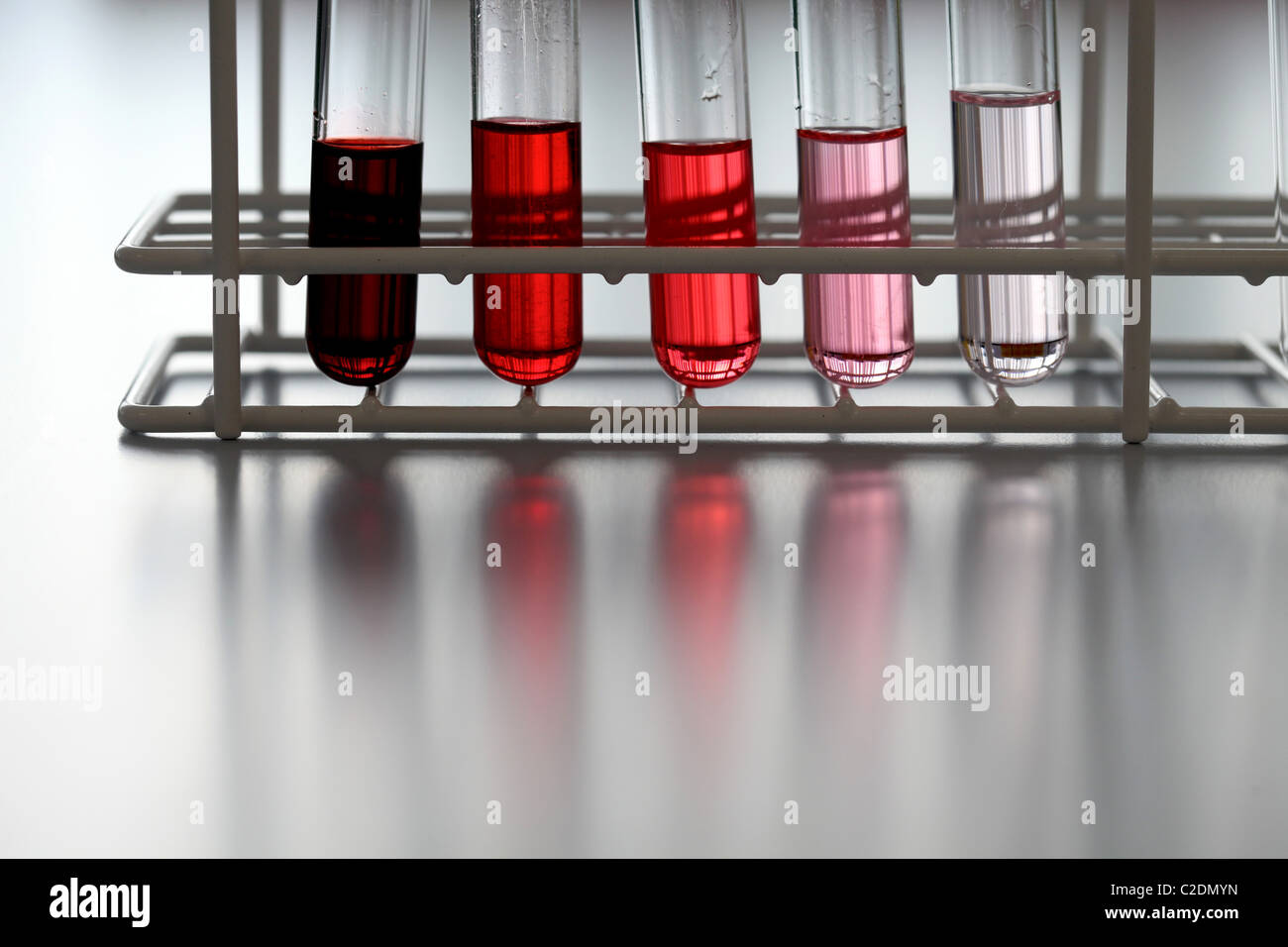 Rack de 5 tubos de ensayo en un laboratorio que contienen líquidos en  diferentes tonos de rojo Fotografía de stock - Alamy