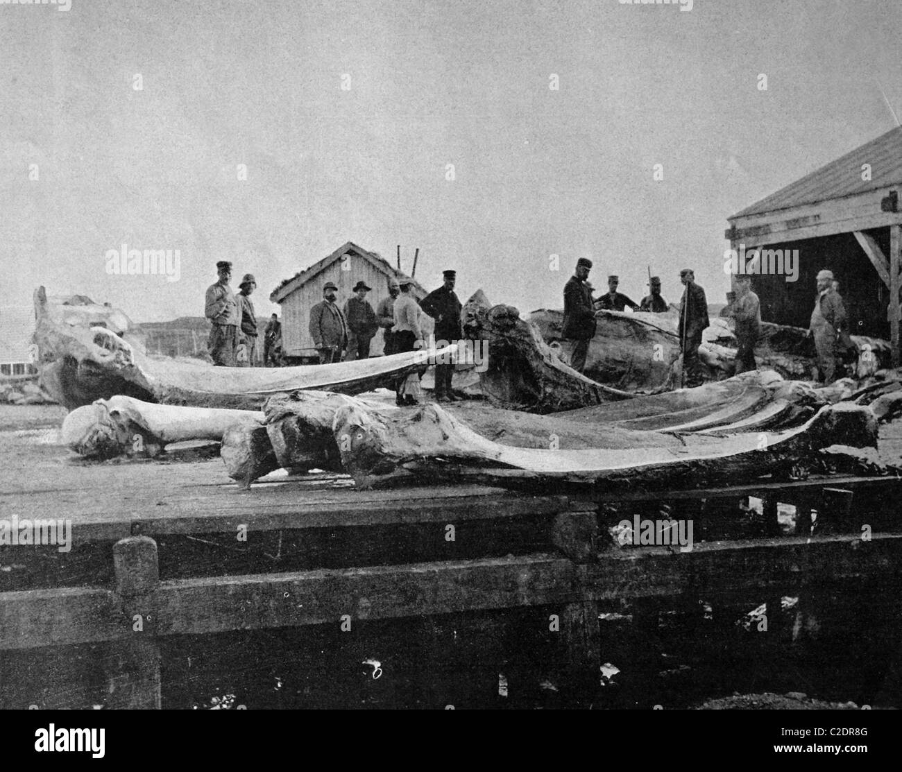 Una de las primeras impresiones de Autotype, La Pecherie de Mehavu, pesca, fotografía histórica en 1884, Noruega, Europa Foto de stock