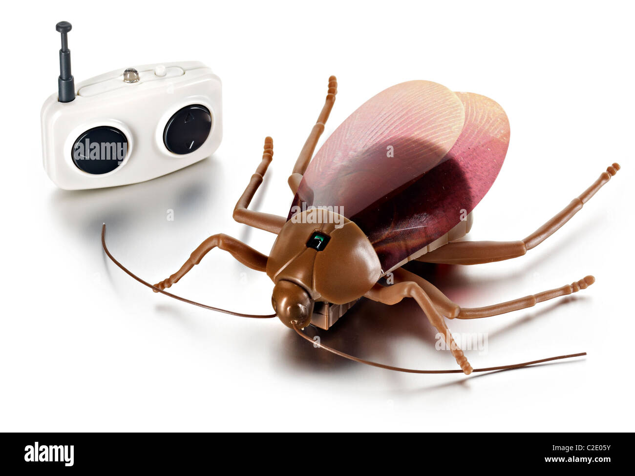 cucaracha de juguete Fotografía de stock - Alamy