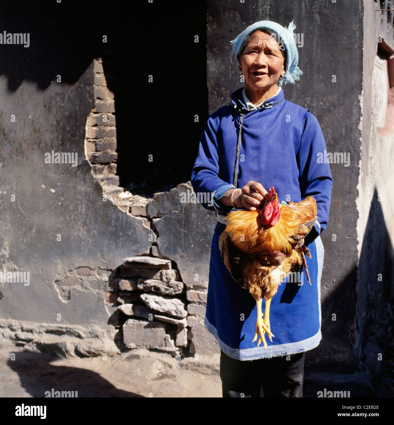 Dali en la provincia de Yunnan en China mujer sosteniendo pollo alimentos avícolas casa wall Foto de stock