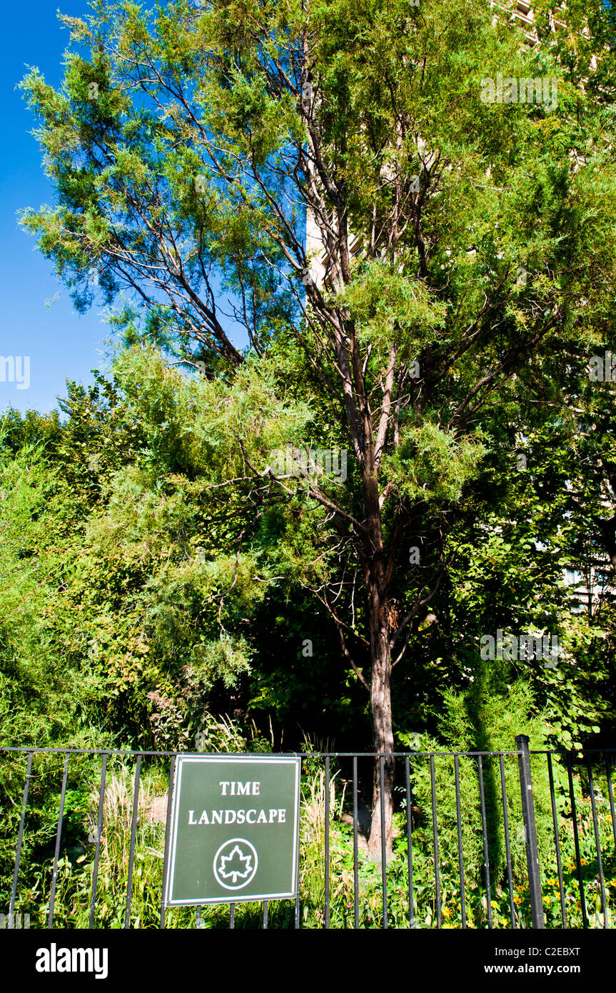 Tiempo signo del paisaje y obras de arte parque con especies vegetales únicas en Laguardia, SoHo, Manhattan, Ciudad de Nueva York, EE.UU. Foto de stock
