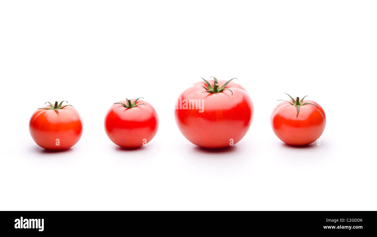 Tres tomates pequeños y uno grande. Útil para la modificación genética conceptos. Foto de stock