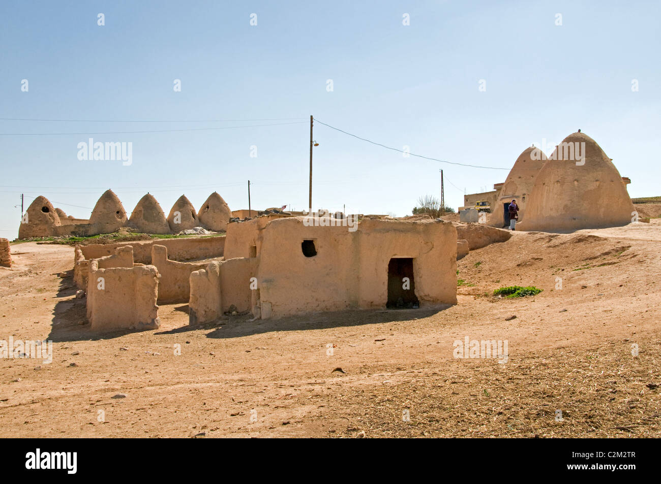 Desierto de Siria Badiyat al Sham, ovejas de granja, cultura, aldeas beduinas beduinas, hombre mujer, Oriente Medio sirio Foto de stock