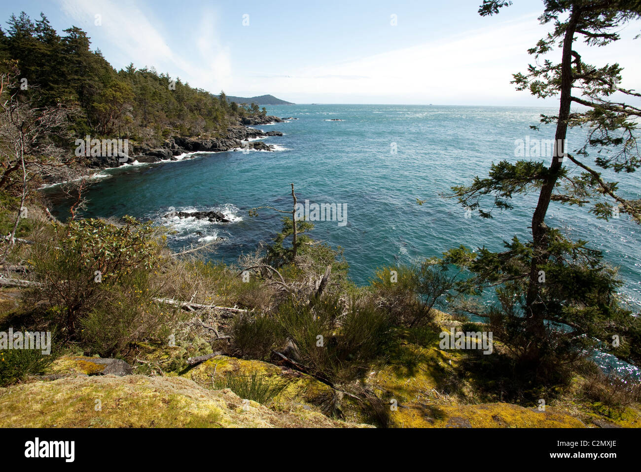 Senderismo en Timor Sook Park. La Isla de Vancouver, British Columbia, Canadá. Foto de stock