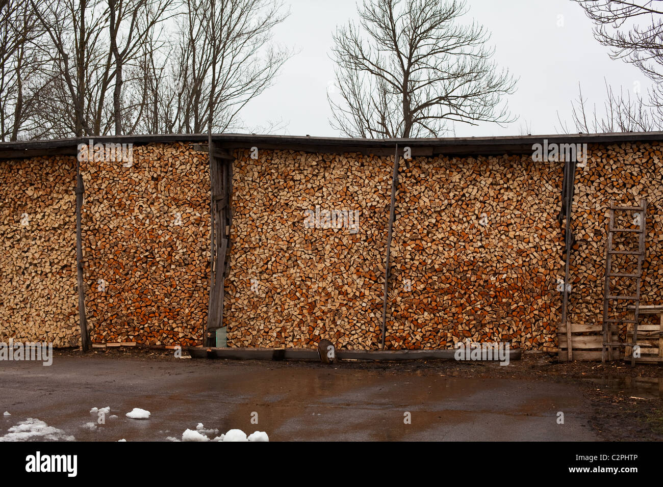 Rural grande pila de leña bajo techo en Rusia. Leñera Fotografía de
