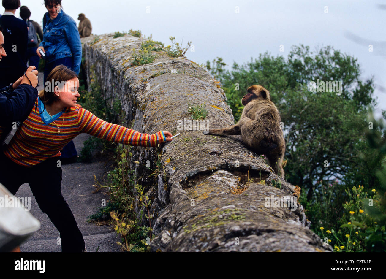 Un turista dando un cigarrillo a un simio Barbary en la cima de la roca de Gibraltar Foto de stock